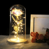 LED Rose In Glass Dome -  Galaxy