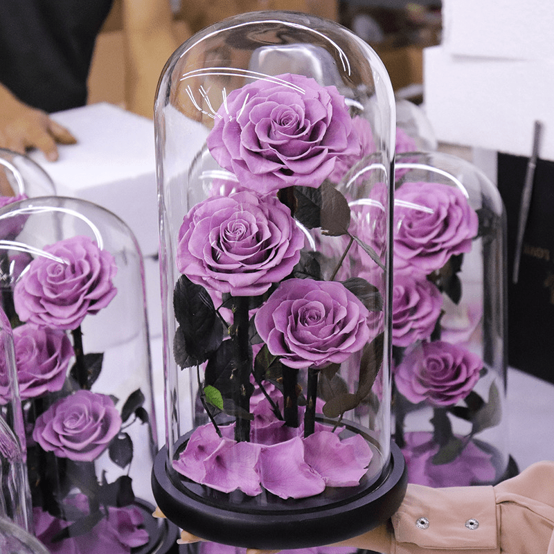 Preserved Natural Rose In Glass -  Dark-Pink-3-Roses