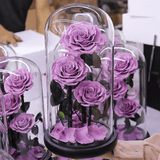 Preserved Natural Rose In Glass -  Dark-Pink-3-Roses