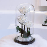 Preserved Natural Rose In Glass -  White-Exclusive-3-Roses