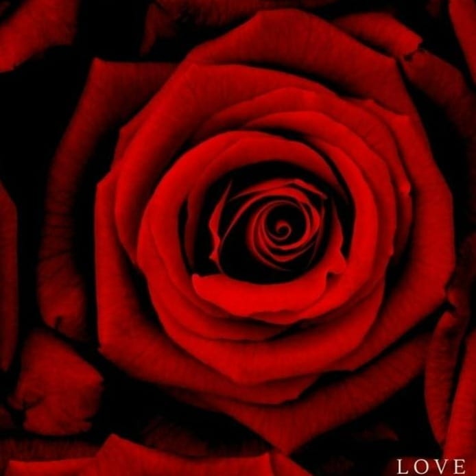 ⭐Make Your Gift Perfumed With Madeofrose Luxury Rose Scent - Madeofrose