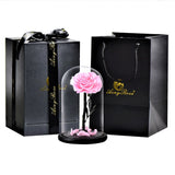 Preserved Rose In Glass Dome + Gift Box -  Pink