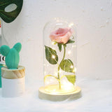 LED Rose In Glass Dome -  Pink