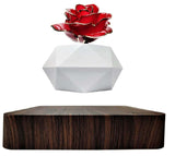 Levitating Rose Holder Two