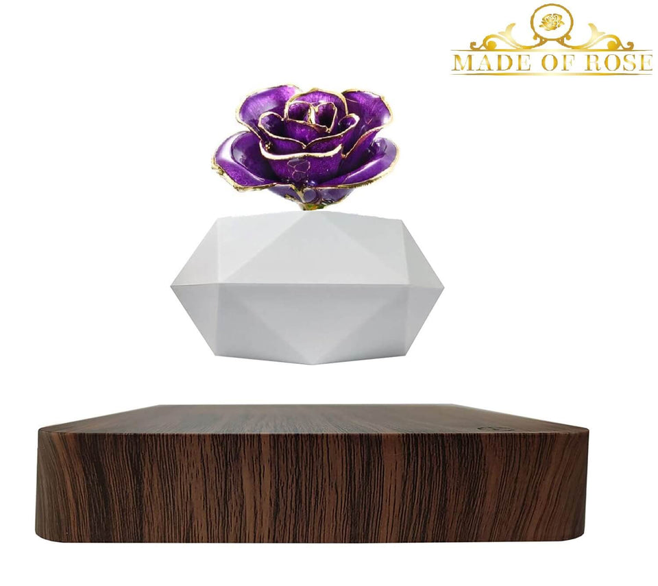 Levitating Rose Holder Five
