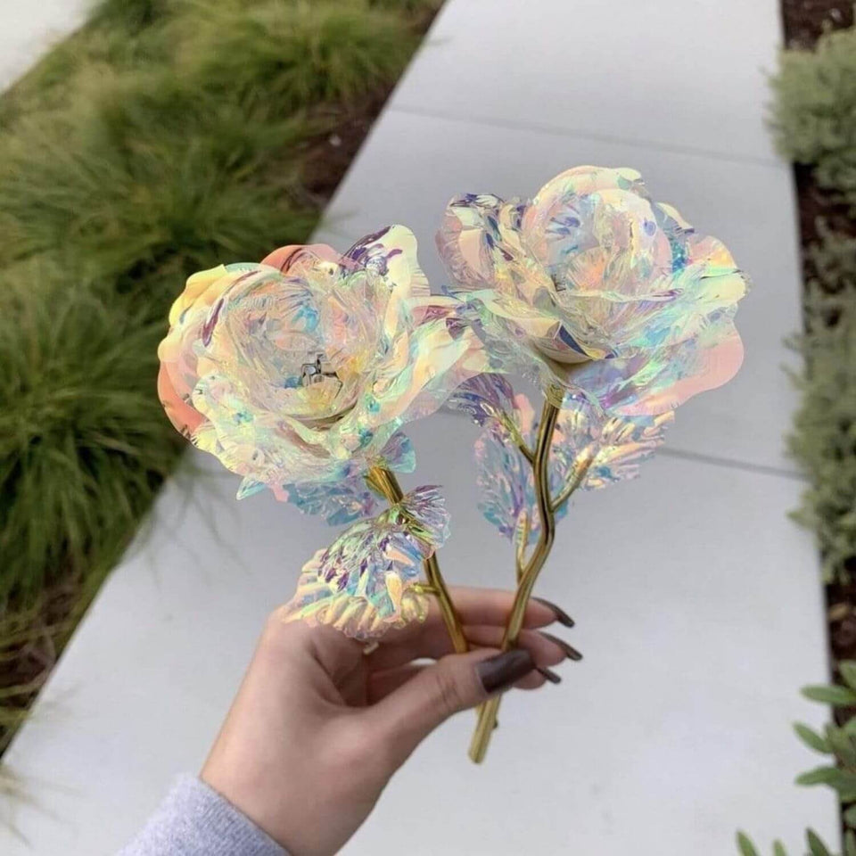Woman holding two galaxy roses in her hand
