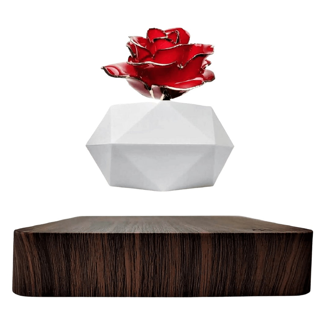 Levitating Rose Holder One