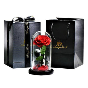 Preserved Rose In Glass Dome + Gift Box - Madeofrose