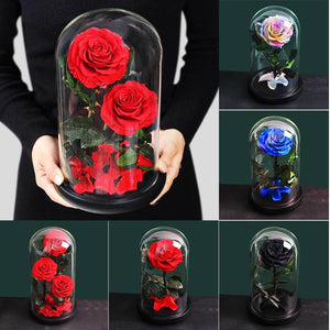 Two Preserved Natural Roses In a Glass dome, along with a collage of other variants
