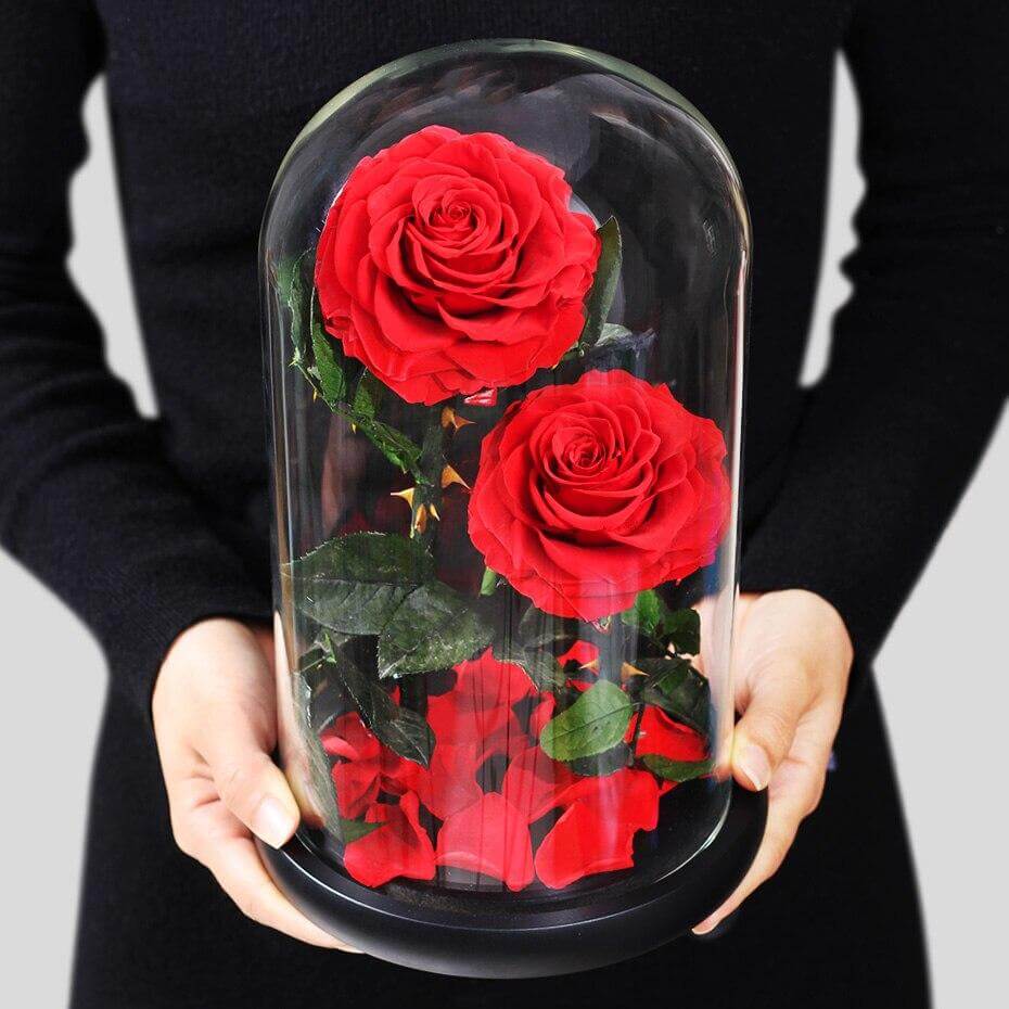 Woman holding a glass dome with two Preserved Natural Roses