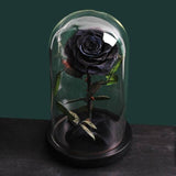 Preserved Natural Rose In Glass -  Black